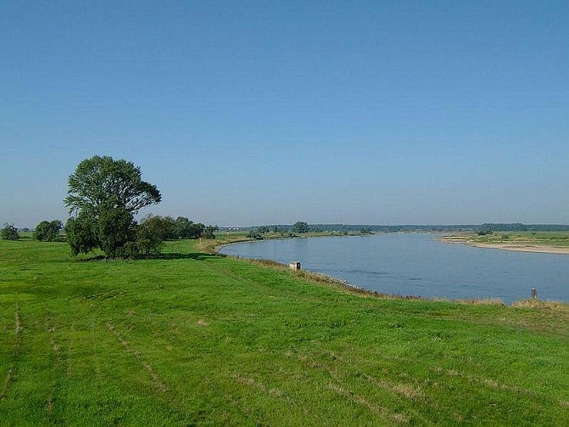 In der Elbaue/ElbaueLandschaft2004_09_02001